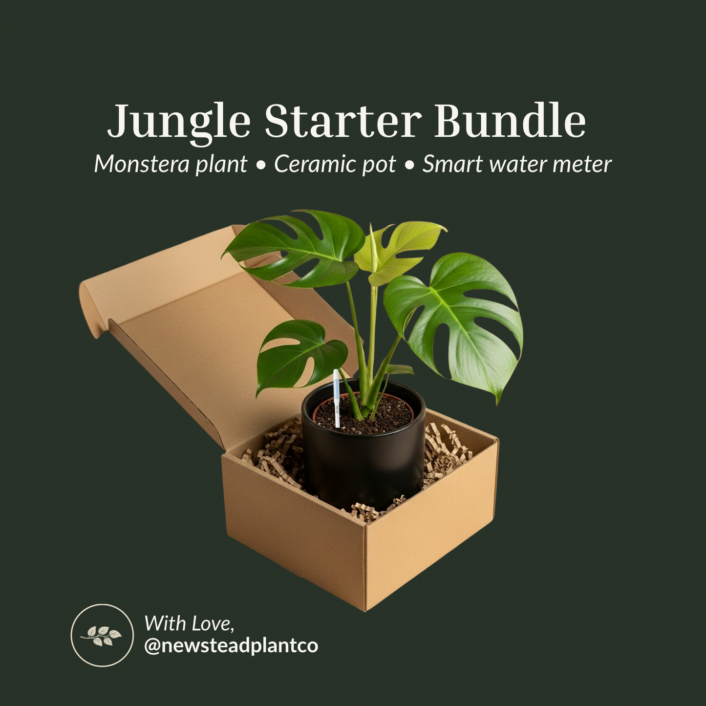 Jungle Starter Bundle