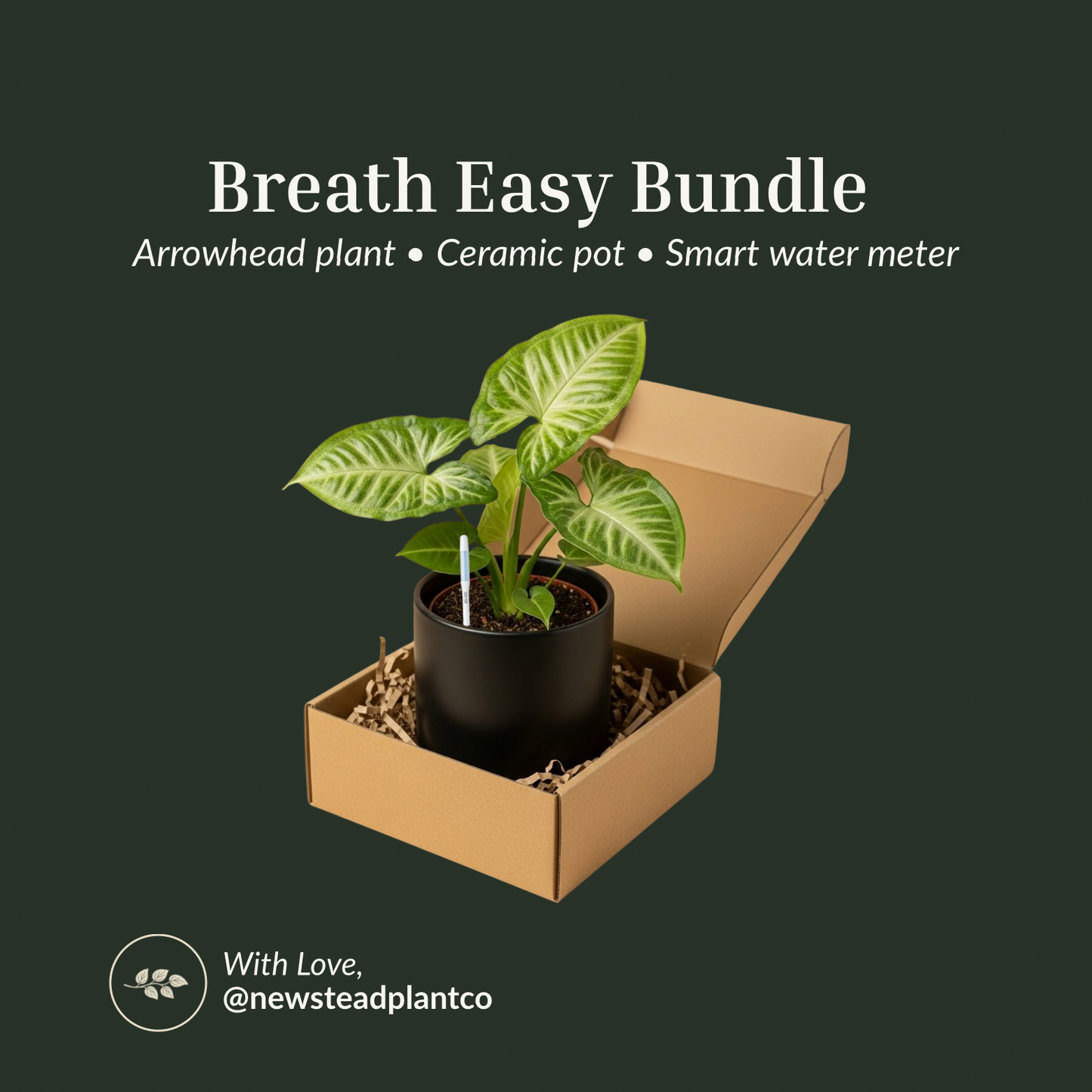 Breathe Easy Bundle